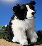 Border Collie 12'