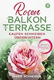 Rosen auf Balkon und Terrasse - Kaufen Schneiden Überwintern: Traumhafte Rosen auch als Anfänger mit 15 Extra-Tipp