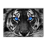 Schwarz Und Weiß Tigerkopf Wandkunst Poster Wildes Tier Kunstdruck Blaue Augen Leinwand Malerei Modernes Bild Wohnzimmer Wohnkultur 50x70cm Kein R