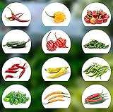 Chili Samen Set | 12 Varianten Chili Saatgut von scharf bis mild | Anzuchtset mit Chili Premium- Natursamen |einfache Aufzucht/Anzucht für Garten und Balk