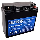 PELTEC@ Premium Blei AGM VLRA Akku Batterie 12V 20Ah 20HR, ersetzt auch 17Ah 18Ah 22Ah (zyklenfest + wartungsfrei)