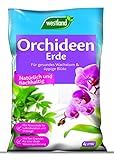 Westland Orchideen Erde, 4 l – Blumenerde für gesundes Wachstum, Pinienrinde und Tongranulat für eine ideale Wasser- und Nährstoffverteilung