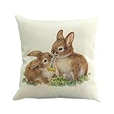 Briskorry Dekorative Kissenhülle 45 x 45 cm Ostern Kaninchen Muster Schlafsofa Festlich Kissen Home Decor Casual Kissenbezug Dekokissen Zierkissen T