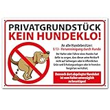 PICO signs Hochwertiges Schild aus Alu PRIVATGRUNDSTÜCK kein Hundeklo 300 x 200 mm rechteckig | Hundekot, Hundehaufen |