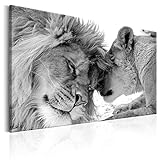 decomonkey Bilder Wandbilder Löwe Afrika Löwenpaar 120x80 cm 1 Teilig Leinwandbilder Bild auf Leinwand Wandbild Wand Wohnzimmer Wanddekoration Deko Tiere Wildlife Natur S