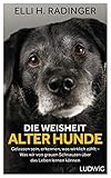 Die Weisheit alter Hunde: Gelassen sein, erkennen, was wirklich zählt – Was wir von grauen Schnauzen über das Leben lernen kö