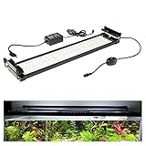 Hogralan 22W Aquarium LED Beleuchtung RGB und Blaulicht Aufsetzleuchte Wasserdicht Lampe Lighting 75-95cm mit Verstellbarer Halterung für Fisch Tank Korallenwasserp