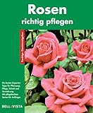 Rosen erfolgreich pflegen : Anleitung zum Einpflanzen, Schneiden und Überwintern , [die besten Experten-Tipps für Pflanzung, Pflege, Schnitt und Vermehrung, mit pflegeleichten Sorten für Anfänger]