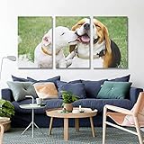 Hund Gras Poster Kinderzimmer 3 Teilig Bilder Babyzimmer Wandbilder stilvolle Wanddekoration für Schlafzimmer Büro Badezimmer Küche ohne Rahmen White 30x45