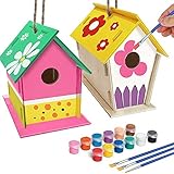 DIY Holz Vogelhaus Bausatz mit Kinder Schürze Vogelhäuser Holzbauset Bird House Basteln Spielzeug Geschenkidee für Kinder Geburtstag Weihnachten 2 Stück mit B