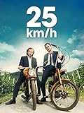 25 km/
