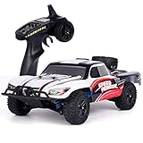Mopoq 1.18 RC Auto 4WD Buggy Wasserdicht Monster Truck 2,4 GHz 40 km/h schneller Double Motor Voll Fern Proportional 4WD Controlled Buggy Rennwagen Crawlers Chariot Jungen-Mädchen-Geburtstags-Sp