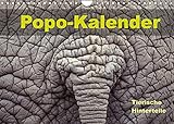 Popo-Kalender (Wandkalender 2022 DIN A4 quer)