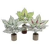CNDZC 3er Set Künstliche Pflanze Gefälschte Pflanze im Plastiktopf Faux Greenery Tabletop Plants Künstliche Topfpflanzen für Home Office Schreibtisch Duschraum Dekoration 14,9' groß,Ex