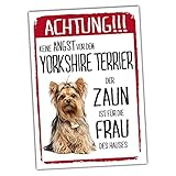 Yorkshire Terrier Dog Schild Achtung Zaun Frau Spruch Türschild Hundeschild Warnschild F