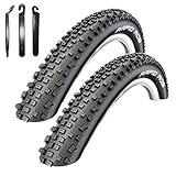 Angebot-Set / 2 x Schwalbe Rapid Rob Fahrradreifen Fahrradmantel 54-622 (29 x 2.10) inkl. 3 Reifenheb