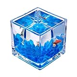 DALIZHAI777 Aquarium Desktop-Quadrat Transparentes Glas Mini Büro Home Kämpfe Fischbehälter Kreative Zierfische Kleine Fische Tank Wasserpflanze Tank Fischglas (Size : 4.72IN)