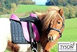 Ponysattel Sattel Minishetty Shetty Mini Pony Pink Schwarz oder Blau 10 12 Zoll incl Zubehör Sattelset Set Tysons auch f. Holzpferd geeignet (10 Zoll, Pink/Schwarz)