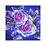 YUWEX Diamond Painting Blume Schmetterling Zubehör 5D Diamant Painting Bilder Set ollrundbohrkristall Crystal Craft für Home Stickerei Set Dekoration für Wand Tür Fenster 30x30