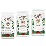 EXPLORE THE WORLD COFFEE Kaffeebohnen Probierset - 3 x 250g Kolumbien, Ruanda, Vietnam Länderkaffee - geröstete Kaffee Bohnen - Kaffeeset ganze Bohnen (Probierset ohne Geschenkverpackung)