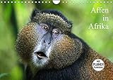 Affen in Afrika (Wandkalender 2022 DIN A4 quer)