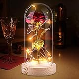 Rose im Glas, GOKOCO Ewige Rose im Glas mit LED-Licht Künstliche Rose Romantisch Geschenk für Frau/Freundin/Weihnachten/Valentinstag/Jubiläum/Geburtstag/Hochzeit/Hauptdekor (Golden)