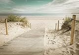 Forwall Fototapete Strand Meer Ostsee Sand Natur Dünen Wohnzimmer Schlafzimmer Vlies Tapete Wandtapete UV-Beständig Hohe Auflösung Montagefertig (11597, VEXXXL (416x254 cm) 4 Bahnen)