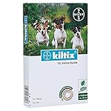 Kiltix Halsband Kleine H