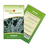 Palmkohl Nero di Toscana Samen - Brassica oleracea var. Palmifolia - Palmkohlsamen - Gemüsesamen - Saatgut für 120