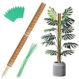 2 Stück 41CM Moosstab Pflanzstab Kokos Rankhilfe Pflanzstab Blumenstab Pflanze Totem für Garten Pflanzenunterstützung Kokosstab Verlängerung