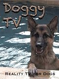 Doggy TV (Reality TV for Dogs) [OV]