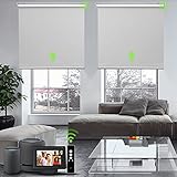 SmartWings Motorisierte Rollos, 100% Verdunkelung, wiederaufladbar, motorisiert, Smart Rollo mit Zigbee 3.0 Motor – Alexa & kabellose Fernbedienung, W39 xH72 hellg
