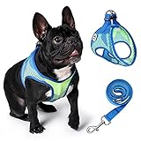 Petbank Hundegeschirr, Verstellbares Geschirr Hund Welpengeschirr mit Strapazierfähigem Polyester & Nylon für Hund Outdoor-Training oder Walking, XS, Blau & Grü