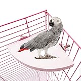 Fushida Vogelständer mit Sitzstange, Naturholz, für Papageien, Sittiche, Nymphensittiche, Wellensittiche, Rennmäuse, Ratten, Maus, Chinchilla, Hamster (M)