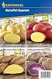 Kiepenkerl 612921 Kartoffel Mischung (12 Stück) (Pflanzkartoffeln)