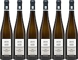 Leitz BERG KAISERSTEINFELS Rüdesheim GG Großes Gewächs 2018 Trocken (6 x 0.75 l)