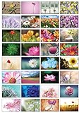 Auswahl an Natur-Postkarten: 32 Postkarten in verschiedenen Naturmotiven (Hübsche Blumen)