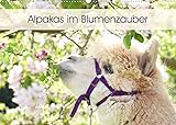 Alpakas im Blumenzauber (Wandkalender 2022 DIN A2 quer) [Calendar] Rentschler, H
