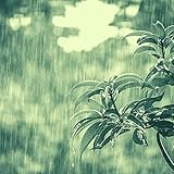 Atmosphäre - Wertvoll Zu Hause Bleib