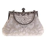 YANGB Portemonnaies Tragbare Abendtasche Für Frauen Handwerk Perlenstickerei Tasche Elegantes Bankett Abend Crossbody Kette, Silb