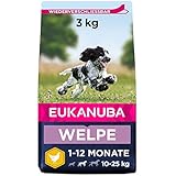 Eukanuba Welpenfutter mit frischem Huhn für mittelgroße Rassen - Premium Trockenfutter für Junior Hunde, 3 kg