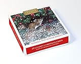 Museums & Galleries Weihnachtskarten, Motiv: Tiere und Winterbeeren, 20 Karten, je 5 Stück in 4 Designs, 20 Stück