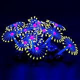 Uniclife Glowing Effect Künstliche Coral Plant Dekor Ornament für Aquarium Aquarium, Gelb