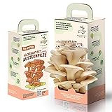 AUSTERNPILZ -SET, Pilzbrut Gourmet- Austernpilze ernten In 10 Tagen Top-  kinderküche zubehör Kinder Anzuchtset, Mini Gewächshaus und Mini Garten Starter, einzigartiges GESCHEN