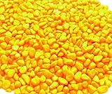 Wasserfarm.com Aquarium-Terrarium Steine Neon-Kies 1000g gelb