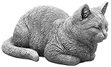 gartendekoparadies.de Massive Steinfigur Katze Raumdeko Gartendeko aus Steing