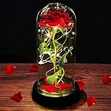 Die Schöne und das Biest Rose Geschenk Kit Ewige Rose im Glas mit LED-Licht in Glaskuppel und Gefallenen Blütenblättern Rosen für Frauen Hauptdekor Geburtstag Hochzeit Valentinstag Muttertag Jub