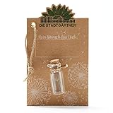 Die Stadtgärtner – kleiner Wunscherfüller I Echtes Pusteblumen-Schirmchen im Glas I Ewig haltbar I Perfekte Geschenkidee für jeden Anlass I Geschenk zu Geburtstag, Hochzeit, Muttertag, O