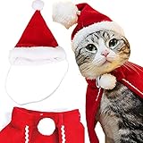 Katzen-Urlaubskleidung, Katzen-Hundekleidung, Haustier-Katzen-Urlaub, Party-Dekoration, Umhang, Hut, Schal, Kopf, Weihnachten, Halloween-Hut, Lätzchen-Set, hübscher kleiner H
