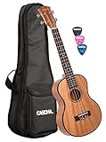 CASCHA 2048 Tenor Ukulele Set - Ukulele Starter Kit inkl. 3 farbige Plektren & Tasche - Premium Mahagoni - Kleine Hawaii Gitarre für Anfänger und Fortgeschrittene - 26 Zoll T